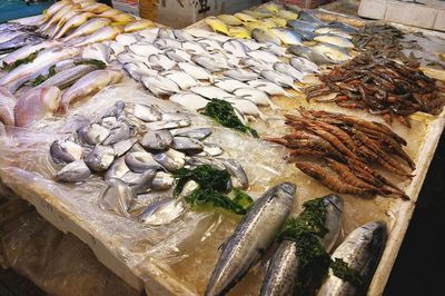 武夷山路海鮮市場 休漁期依舊琳瑯滿目，價格親民選擇多樣