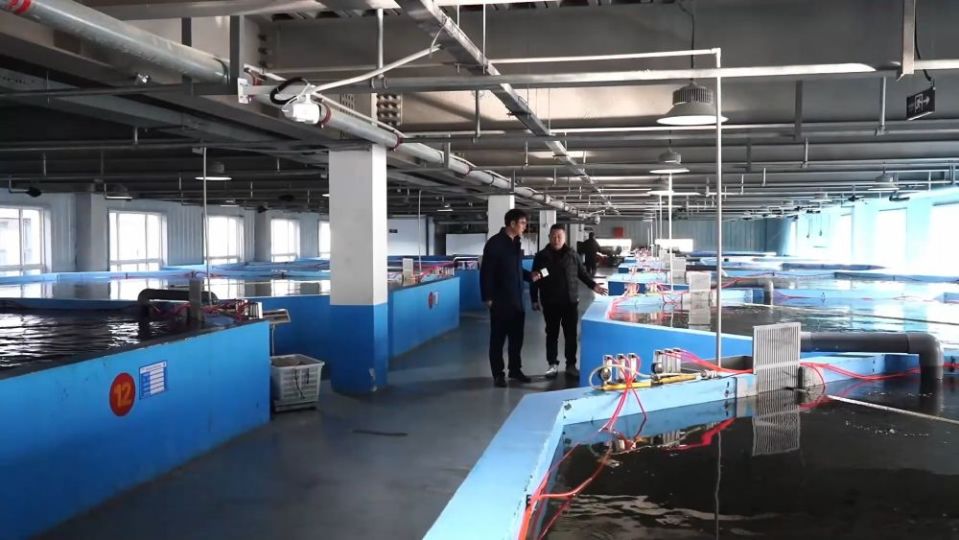 冬日暖陽里，聽一曲鄉村振興的“魚米”交響