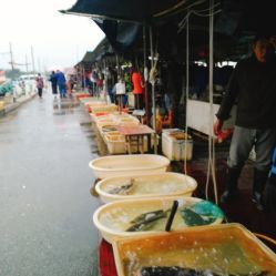 無錫小溪橋水產批發市場 地址、電話、營業時間與美食探尋指南