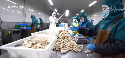 大食物觀引領水產產業升級 預制菜如何延長水產養殖價值鏈