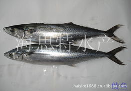 榮成市海思特水產(chǎn)品冷凍廠 精選冷凍粗加工水產(chǎn)品產(chǎn)品列表